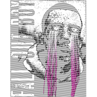 idol singer-GS  1454